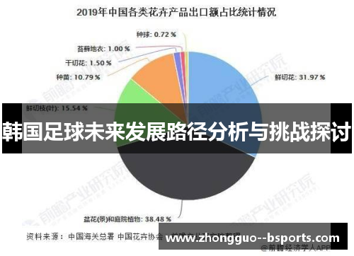 韩国足球未来发展路径分析与挑战探讨